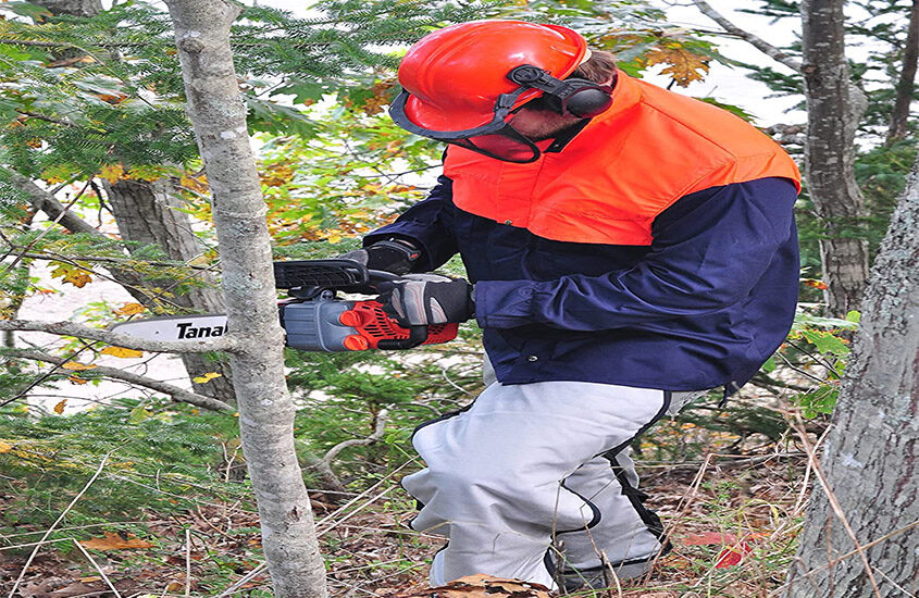 Best Small Chainsaw Reviews and Buying Guide