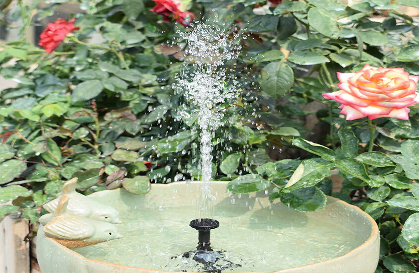 Best Solar Fountain Pumps Reviews and Buying Guide
