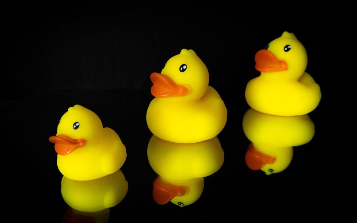 How to Make Your Own Cool Projects With Rubber Ducks