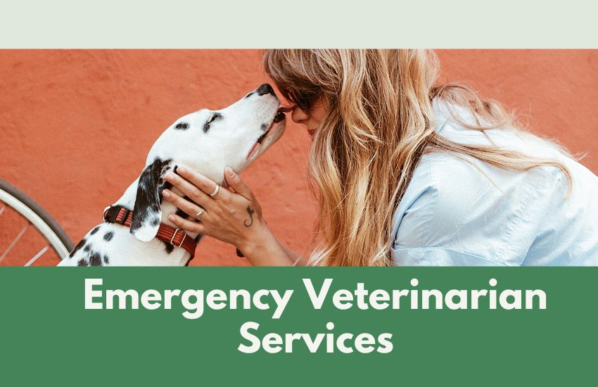 Emergency Veterinarian Services