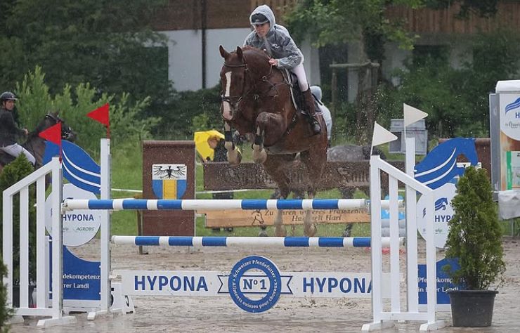 Equestrian Service