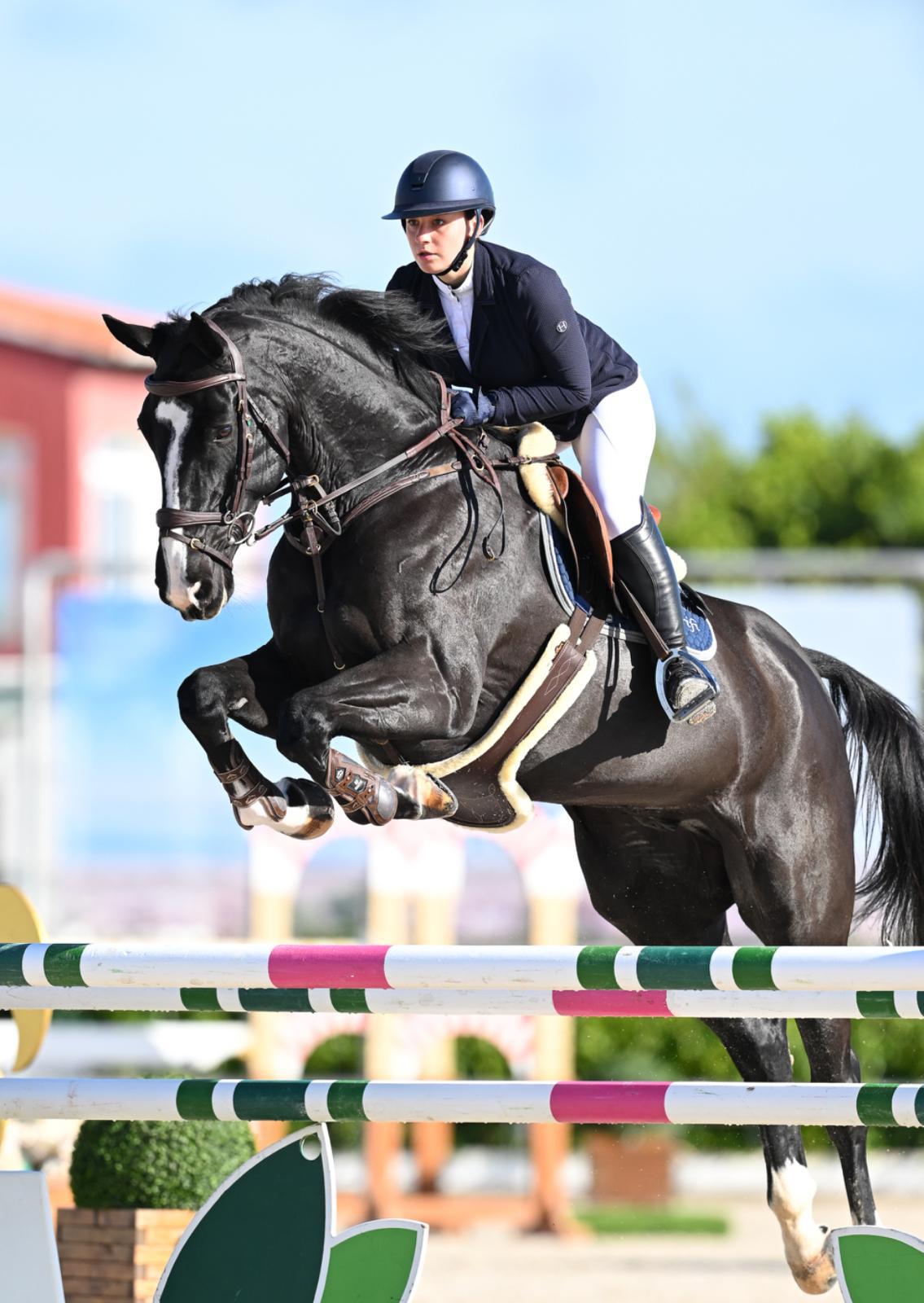 Global Horse Trading